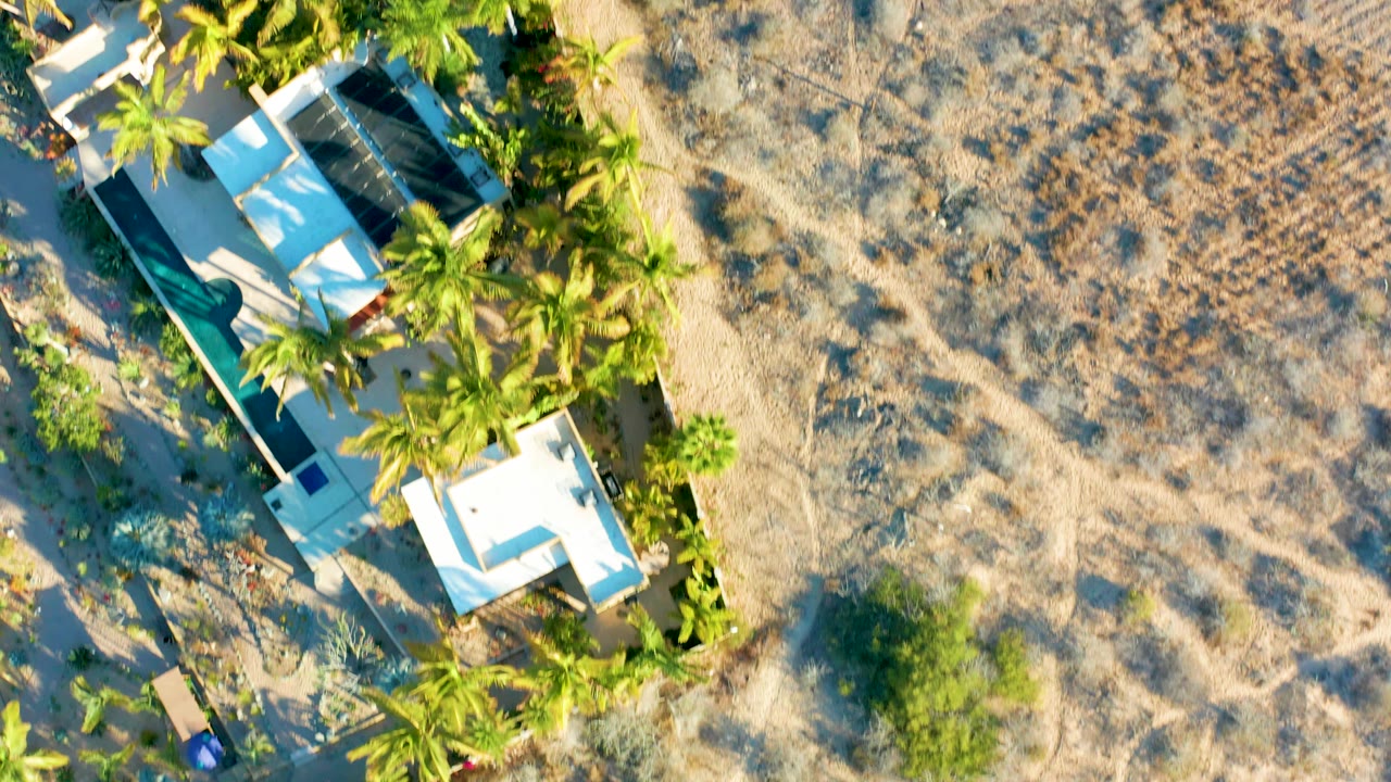 Dry field bordered by palms and residential rooftops.