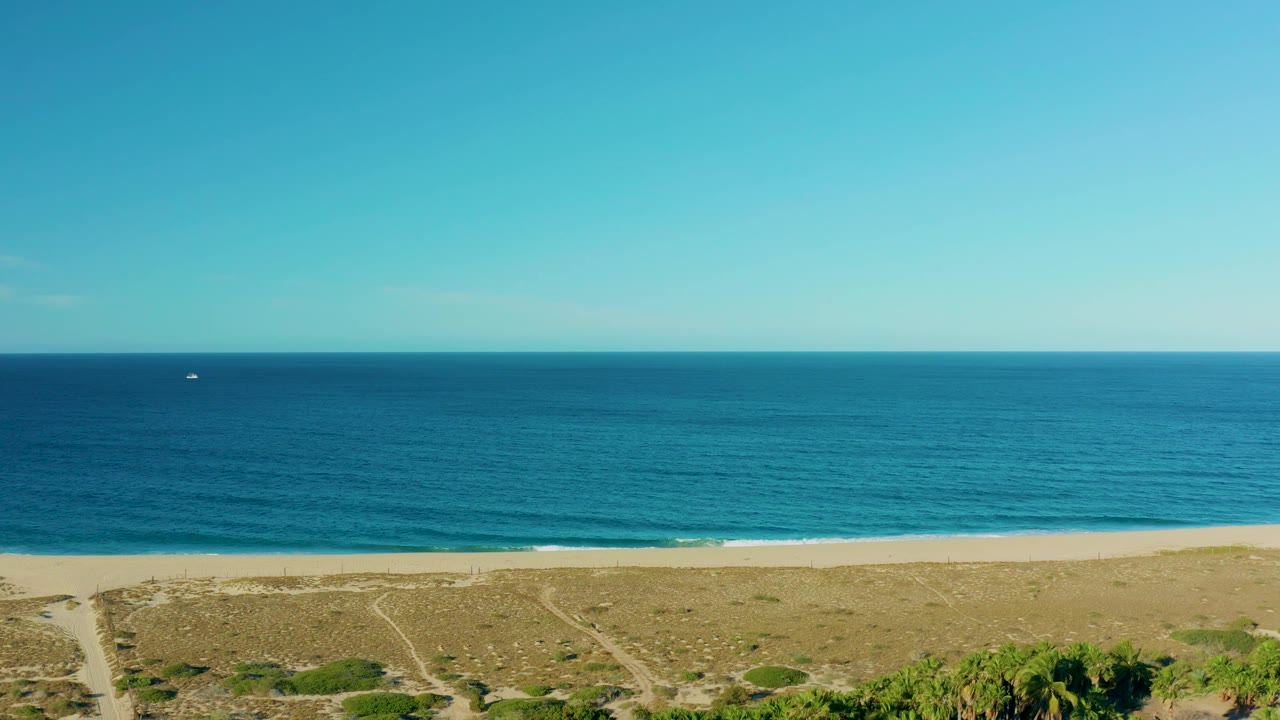 Aerial view over Todos Santos beach with calm blue water, a thin wave line on the sand, dune vegetation, and the first palm greenery entering the lower frame, with no visible people.