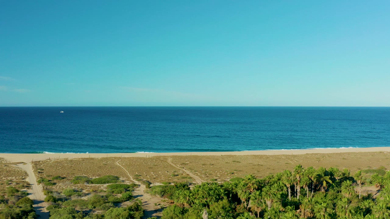 Elevated beach view with palms, dunes, ocean, clear sky, and a distant boat.