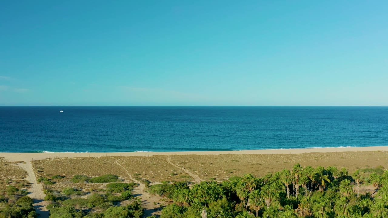 Todos Santos beach frame with a sandy dune path, green palm canopy at the lower edge, blue water across the background, and no visible people.