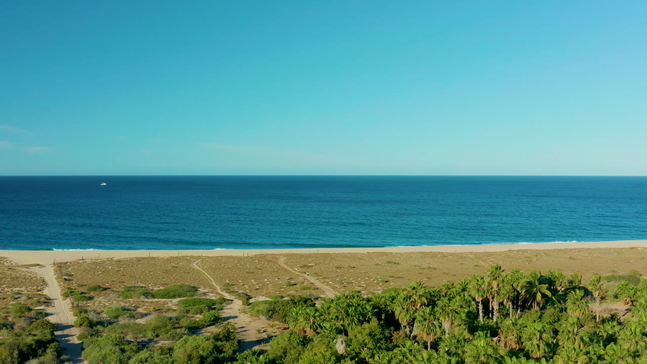 A steady Todos Santos coastal view shows pale sand, scattered dune vegetation, palms in the foreground, open blue water, and no visible people.