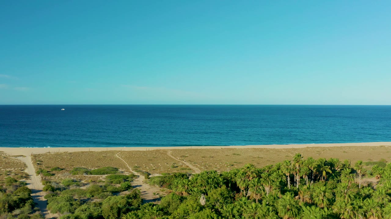Mid-clip frame of the Todos Santos shore with dense palms at the bottom, a broad dune strip, small wave lines, blue ocean, and no visible people.