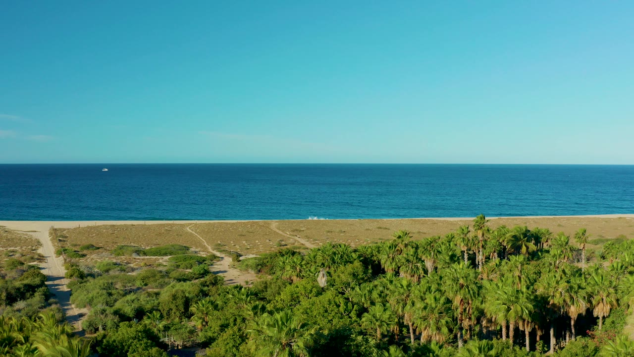 Aerial frame over the Todos Santos coast with blue ocean, clear sky, sandy beach, dune paths, green palms, and no visible people.