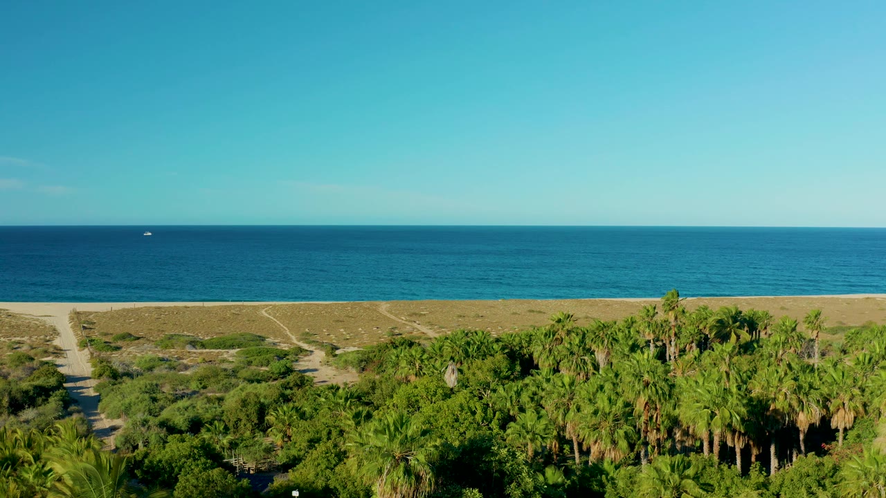 Todos Santos beach frame with deep blue water behind a sandy strip and dense palms in the foreground, with no visible people on the shore or paths.