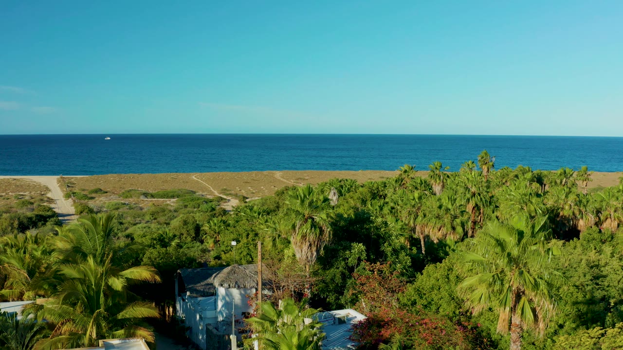 Palm canopy and small buildings below a sandy beach strip and blue ocean horizon.
