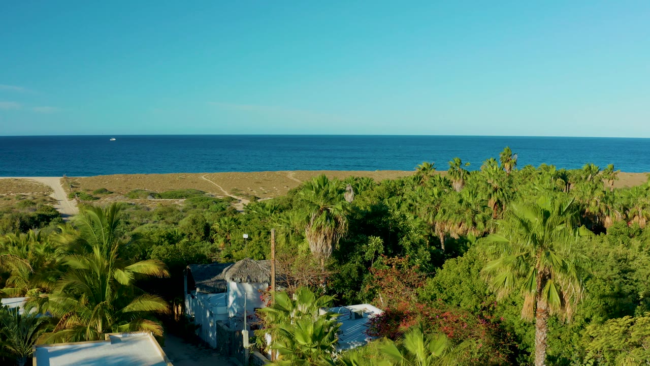 At 0:02 in Todos Santos, Baja California Sur, palms and shrubs dominate the foreground while the sandy dune band and calm ocean sit behind them under clean blue sky, with no visible people.