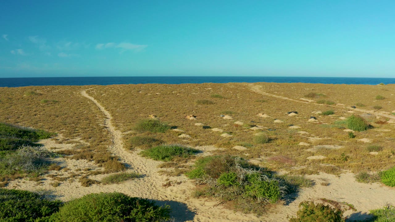 Sandy trail through coastal dunes with ocean horizon