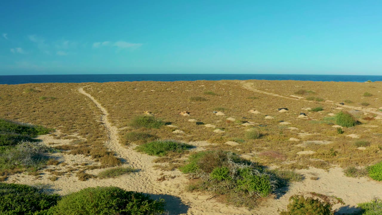 Elevated view of a pale sandy path through brown dune grass and green shrubs in Todos Santos, with the ocean forming a straight blue band and no visible people.