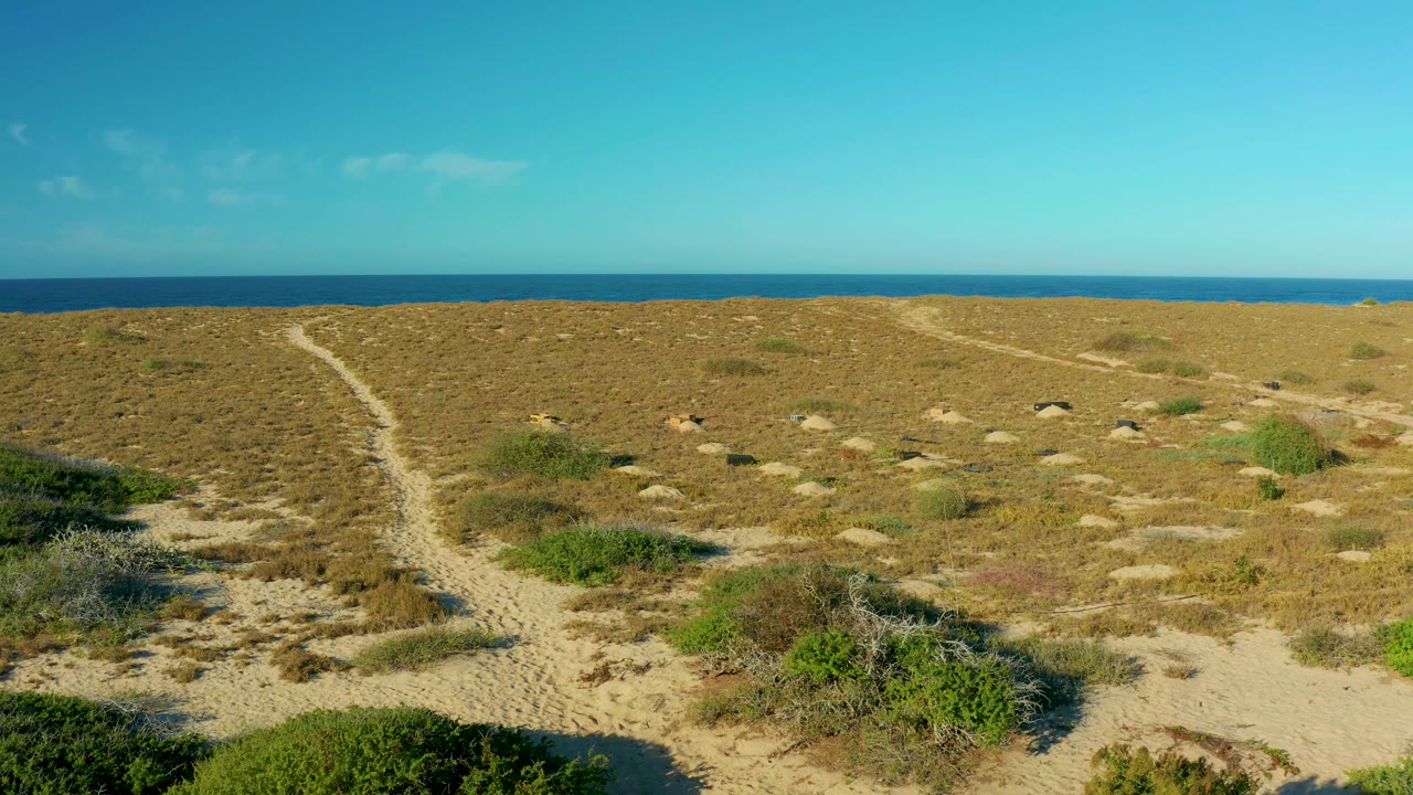 Wide coastal dune field in Todos Santos, Baja California Sur, with a sandy track on the left, scattered scrub and rocks across the midground, distant sea, and no visible people.