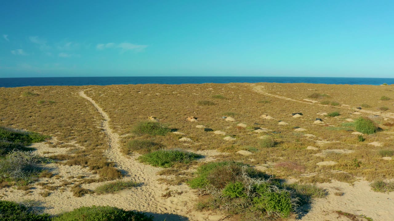 The sandy trail continues through dry grass and low coastal bushes in Todos Santos, with the ocean horizon stretching across the background and no visible people.