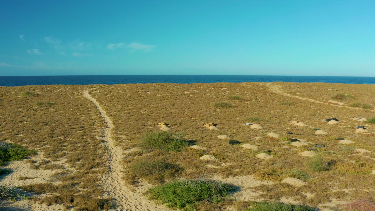 Coastal dunes with small animals, sand paths, ocean, and blue sky.