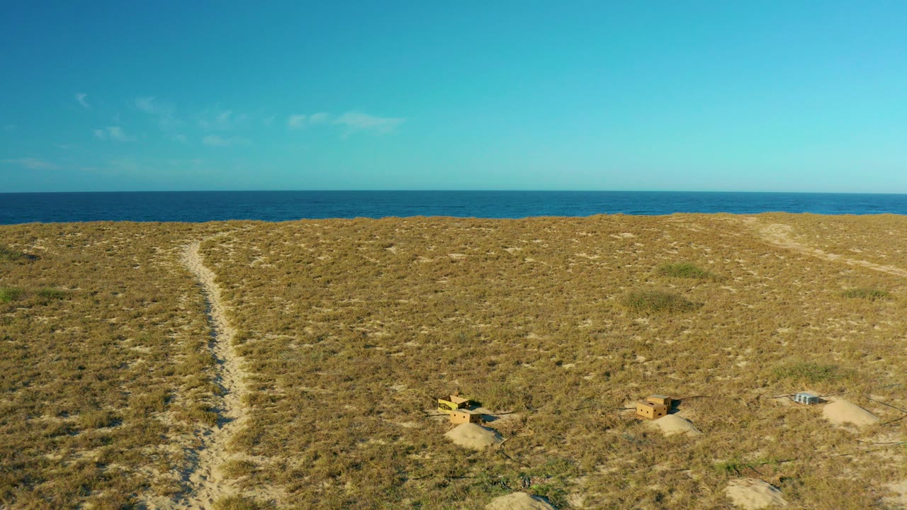 Aerial view of grassy dunes with sandy paths and ocean horizon.