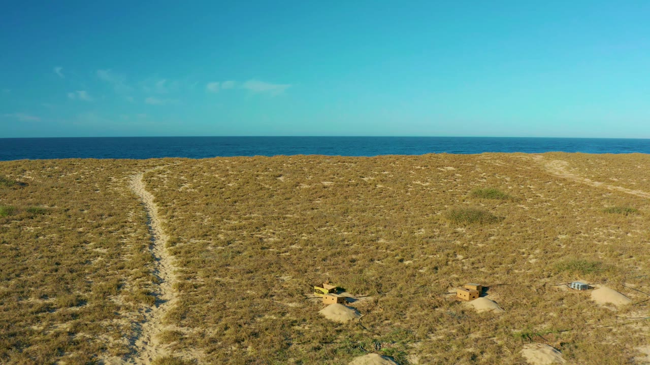 Aerial view in Todos Santos showing scrub-covered dunes, a pale sandy track running toward the ocean, small dune objects near the lower frame, and no visible people.
