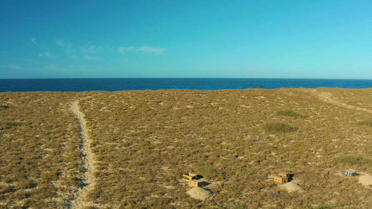 Aerial coastal frame from Todos Santos with dry scrub, pale dune paths, the ocean stretching across the background, and no visible people.