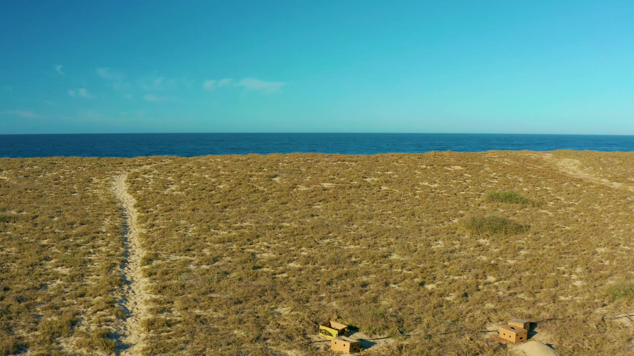 Todos Santos aerial frame with a sandy path on the left, dry grass across the dunes, a level blue ocean horizon, and no visible people.
