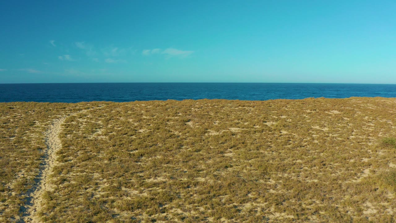 Grassy dune slope with a sandy path and ocean horizon beyond