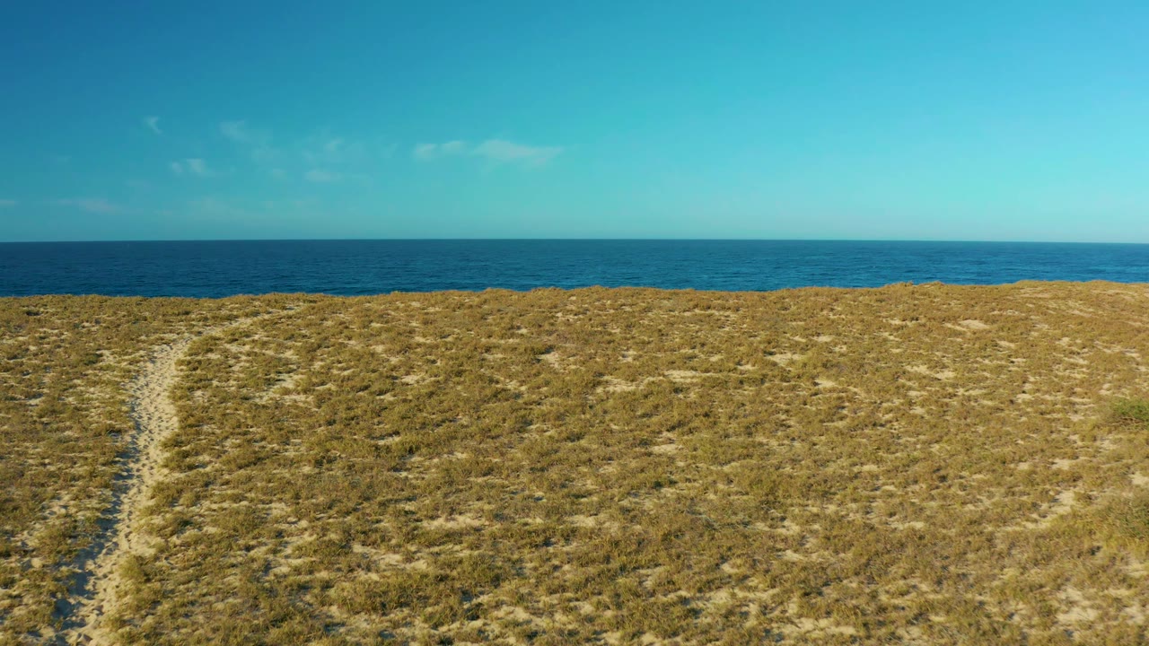 Dry dune grass and pale sand dominate the foreground in Todos Santos, Baja California Sur, with a darker blue ocean band and clear sky across the top, and no visible people.