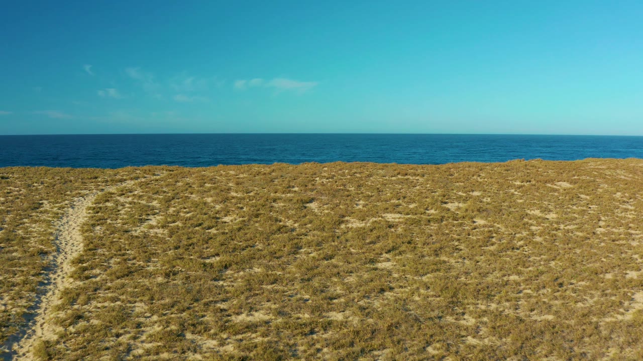 A narrow sandy track runs up the right side of a grassy dune in Todos Santos, Baja California Sur, with open ocean and clear blue sky behind it, and no visible people.