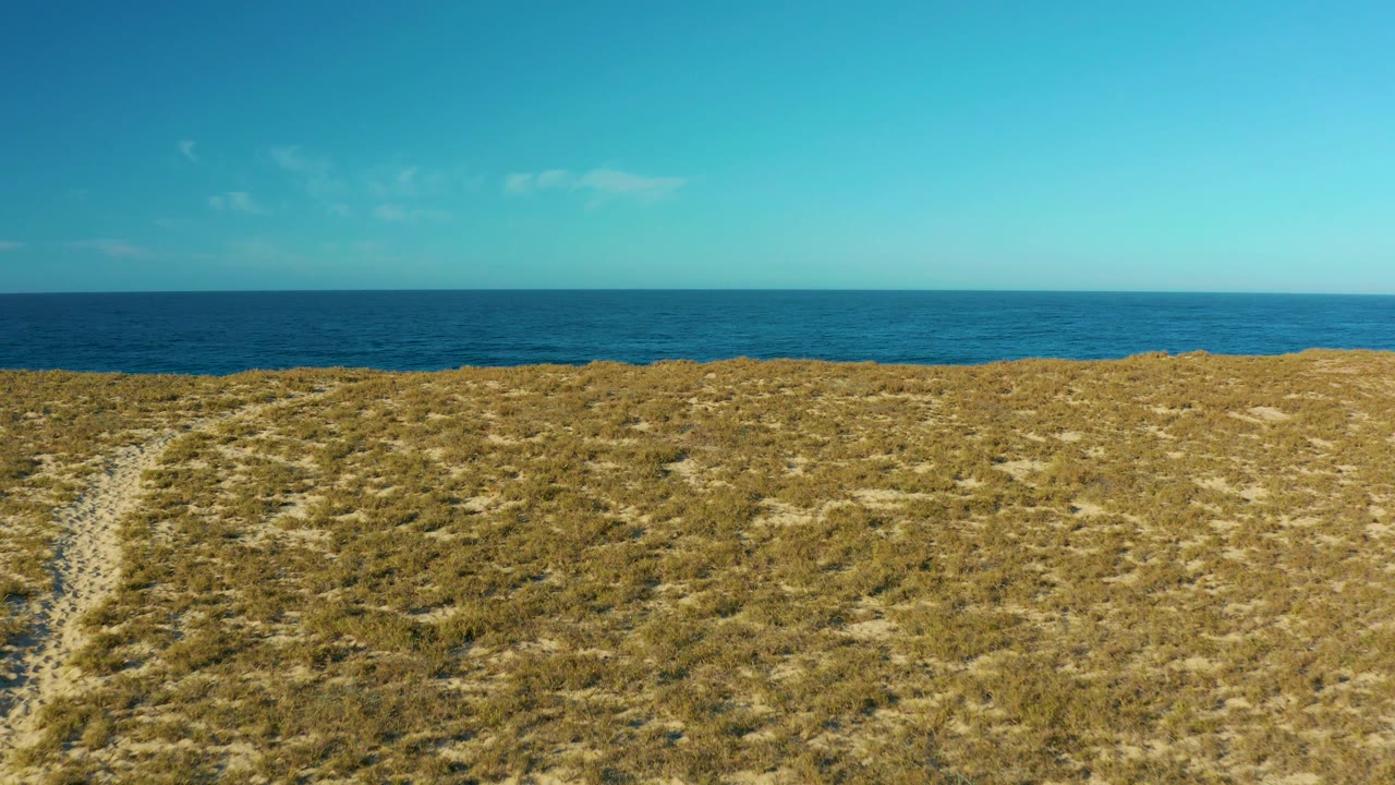 The dune ridge sits lower in frame in Todos Santos, Baja California Sur, revealing more blue ocean beyond the grass and sand, with clear sky overhead and no visible people.