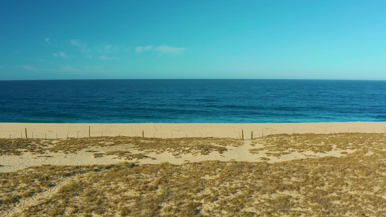 Aerial view of ocean, sandy beach, and grassy dunes