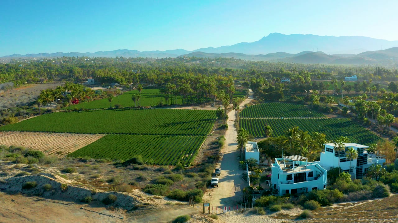Aerial view over Todos Santos farmland with green crop rows, a pale dirt road, white buildings near the lower edge, distant mountains, and no visible people.