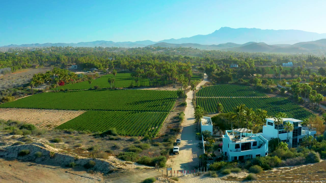 Green agricultural fields split by a dirt road with buildings and mountains beyond.