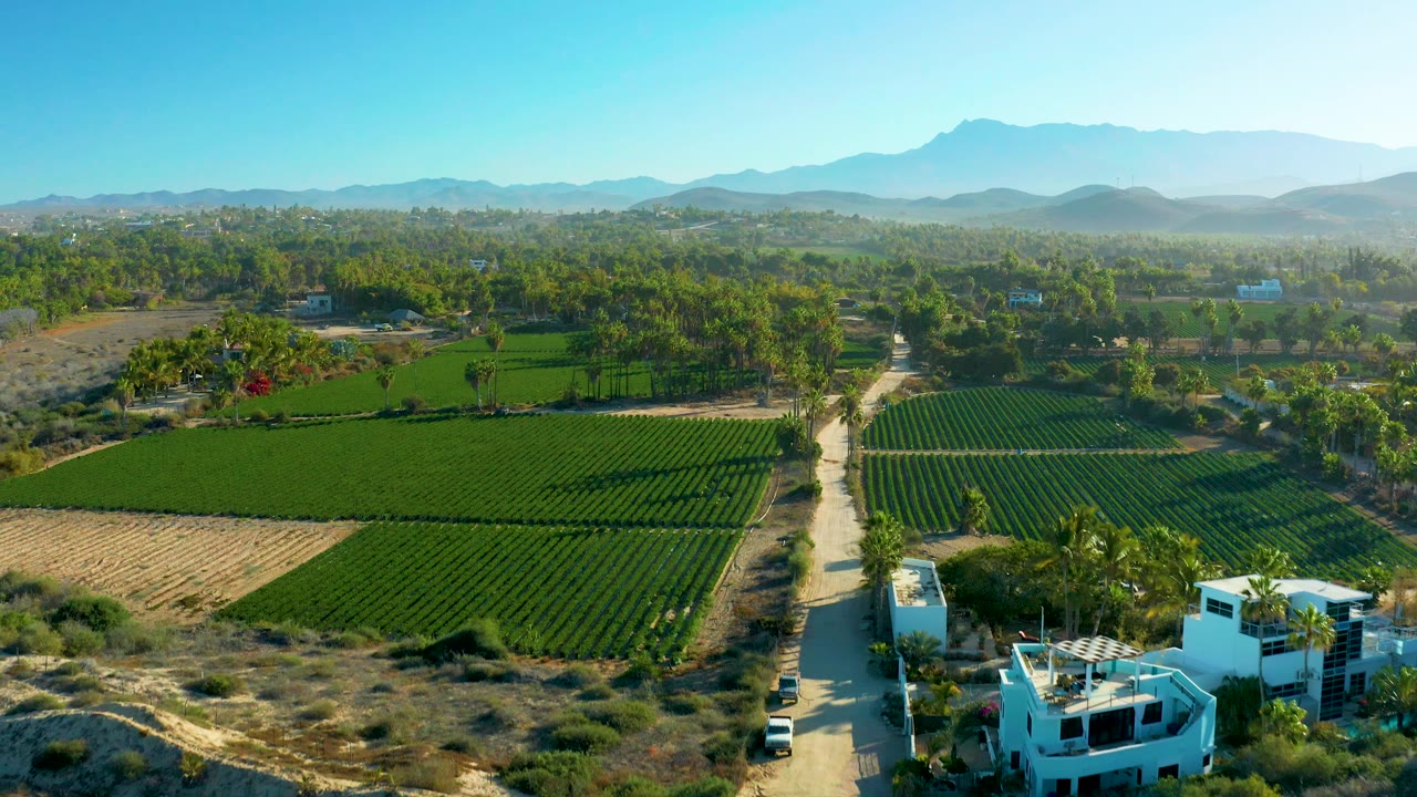 Drone-like view over Todos Santos crop fields where a dirt road passes a white car and white buildings, with palms, scrubland, mountain ridges, and no visible people.
