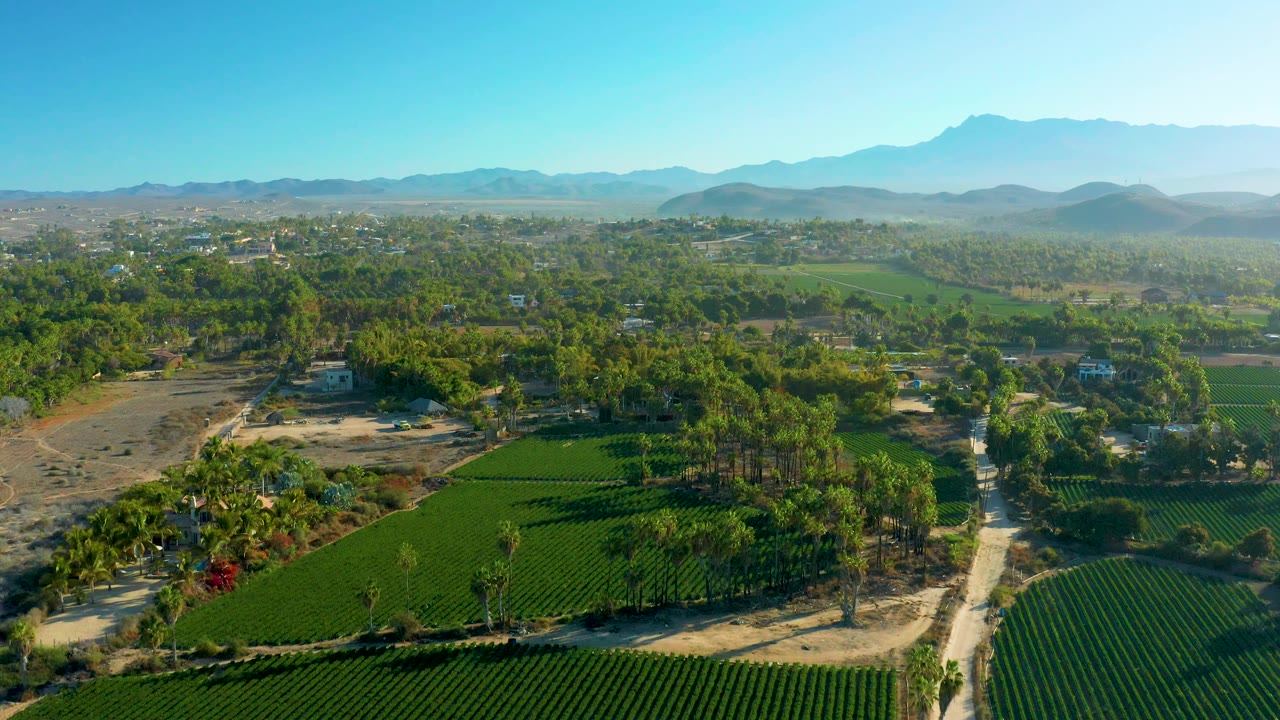 Elevated rural view with fields, trees, dirt roads, and mountain haze.