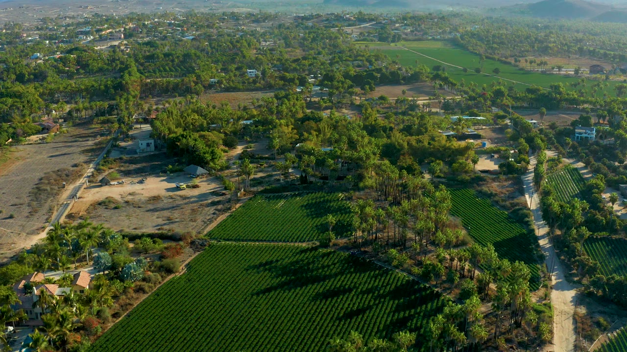 Aerial farmland scene with road, trees, fields, and distant hills.