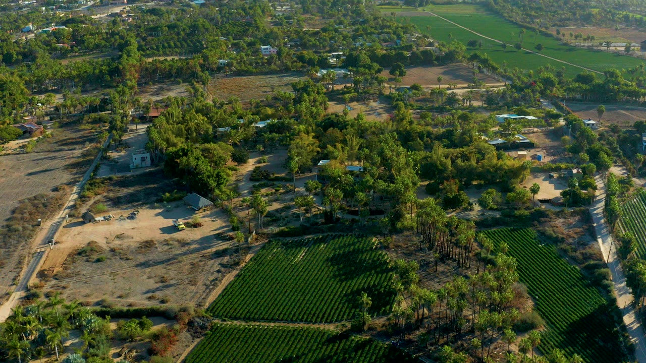 Aerial frame over rural Todos Santos farmland with green crop rows at lower right, dry open ground at left, tree clusters, dirt roads, small structures, and no visible people.