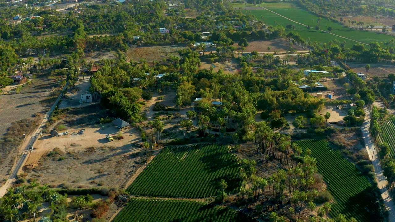 Aerial view in Todos Santos showing rectangular green fields, dry tan ground, a pale dirt road, dense trees, small houses, and no visible people.