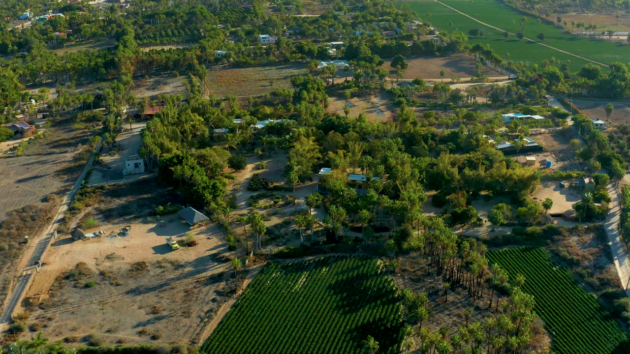 Aerial farmland with dry plots, crop rows, trees, and a dirt road.