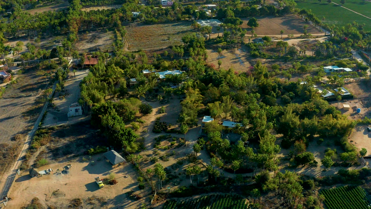 High aerial view over Todos Santos, Baja California Sur, showing green trees, dry tan ground, small buildings, dirt paths, and distant fields with no visible people.