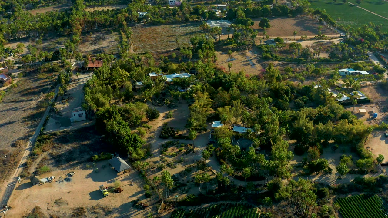 Aerial frame over Todos Santos with a tree-filled settlement below, dirt roads crossing the scene, small light-roofed buildings, dry fields, and no visible people.