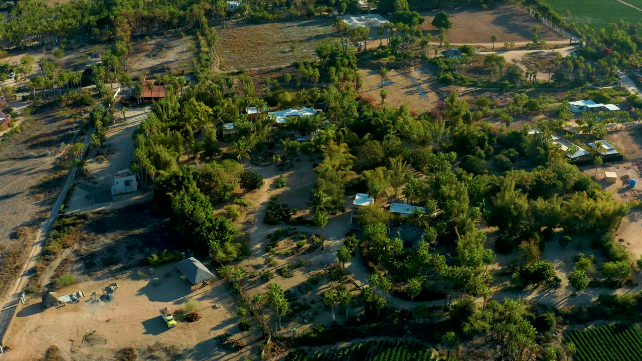 Sunlit aerial view in Todos Santos showing rural buildings surrounded by green tree cover, tan open ground, field rows near the lower edge, and no visible people.