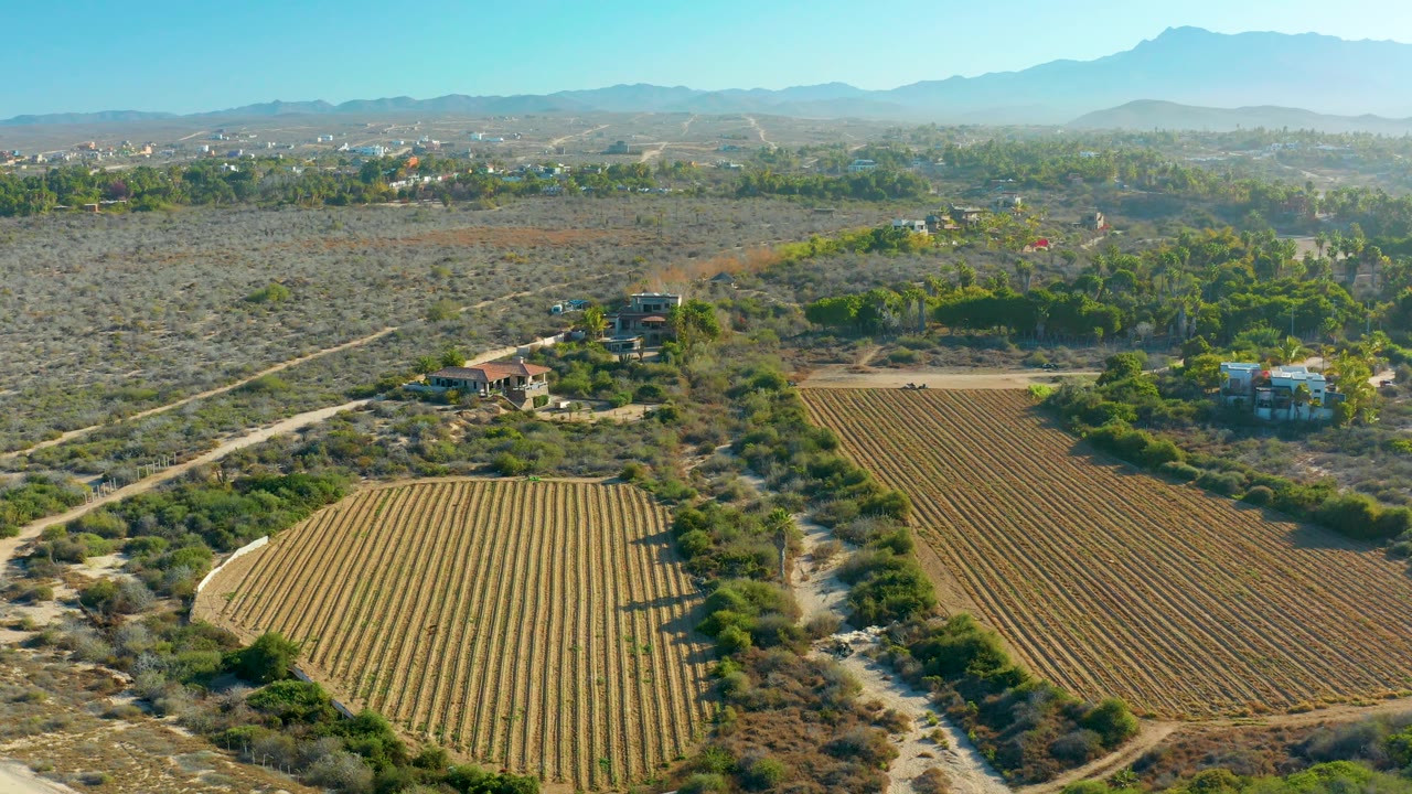 Aerial farmland frame in Todos Santos showing parallel crop rows, a diagonal dirt road, scattered rural buildings, dry vegetation, distant mountains, and no visible people.