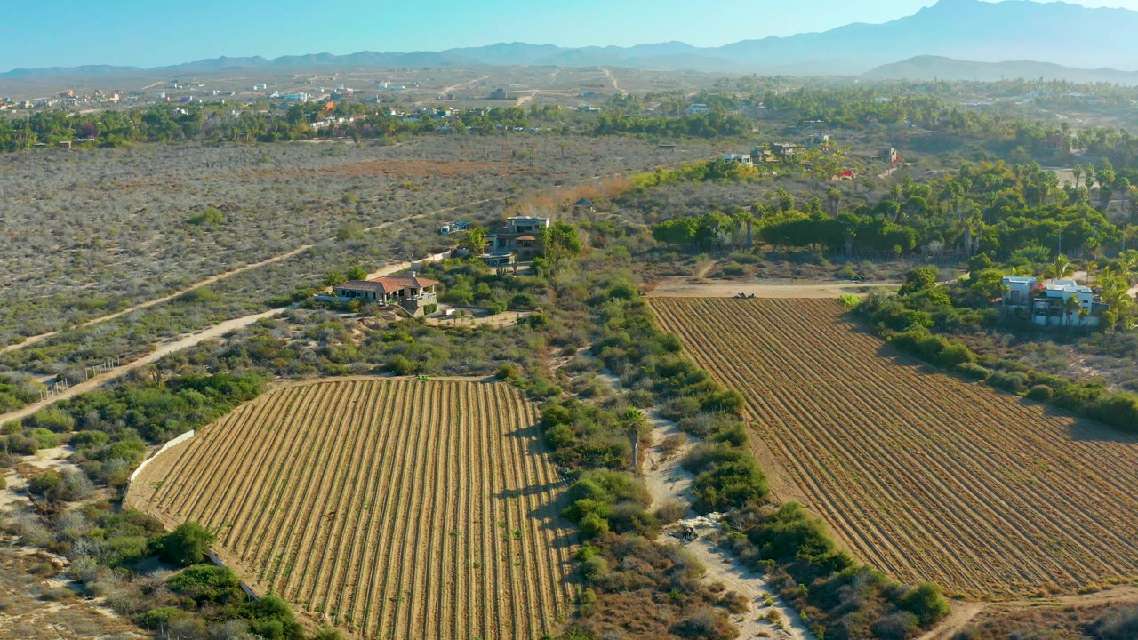 Aerial view of farmland rows, dirt roads, green vegetation, buildings, and mountain backdrop.