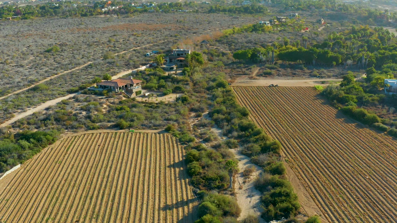High aerial view of fields, a house, trees, and pale dirt tracks.