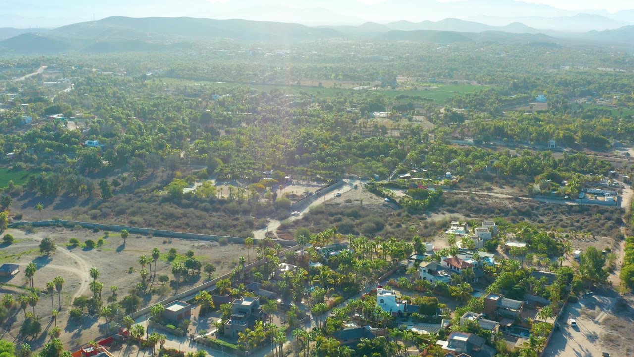 Aerial neighborhood view with palms, houses, scrubland, roads, and mountain horizon
