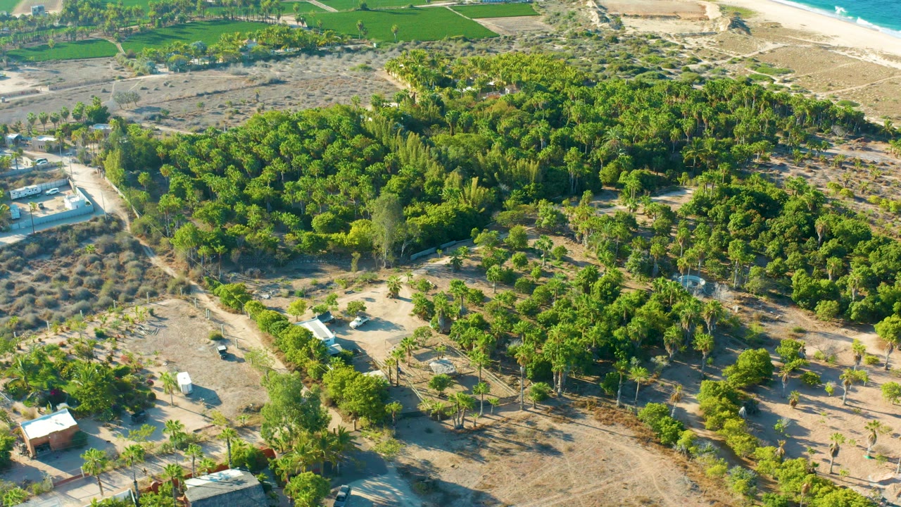 Drone view over a tree-covered rural area with dirt tracks and coastline beyond