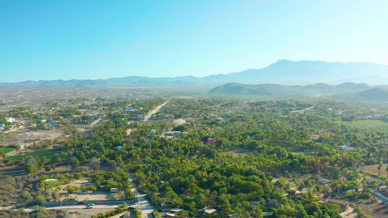 Opening aerial frame over Todos Santos, Baja California Sur, showing dense trees, pale roads, scattered buildings, open lots, hazy mountains, clear blue sky, and no visible people.