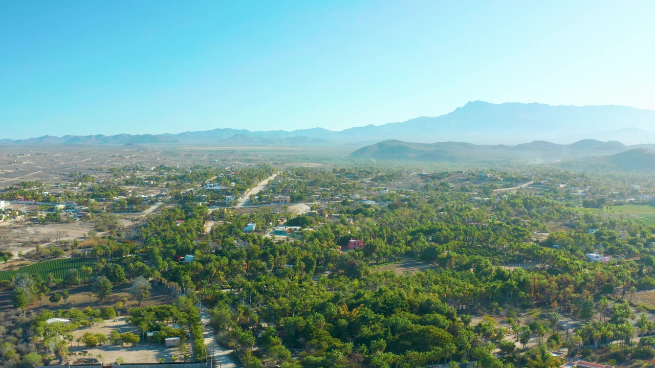 High drone view across treetops, town roads, open land, and mountains.