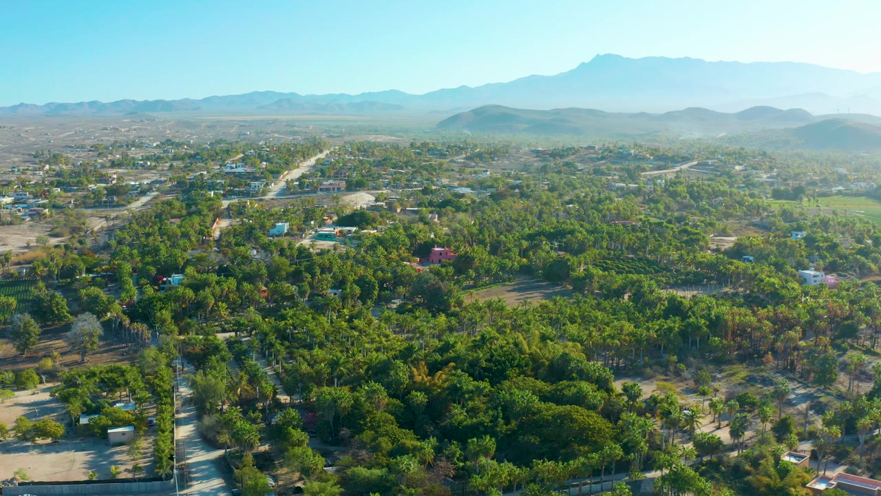 Early frame from the aerial view shows Todos Santos residential blocks partly hidden by trees, with a road running through the greenery and no visible people.