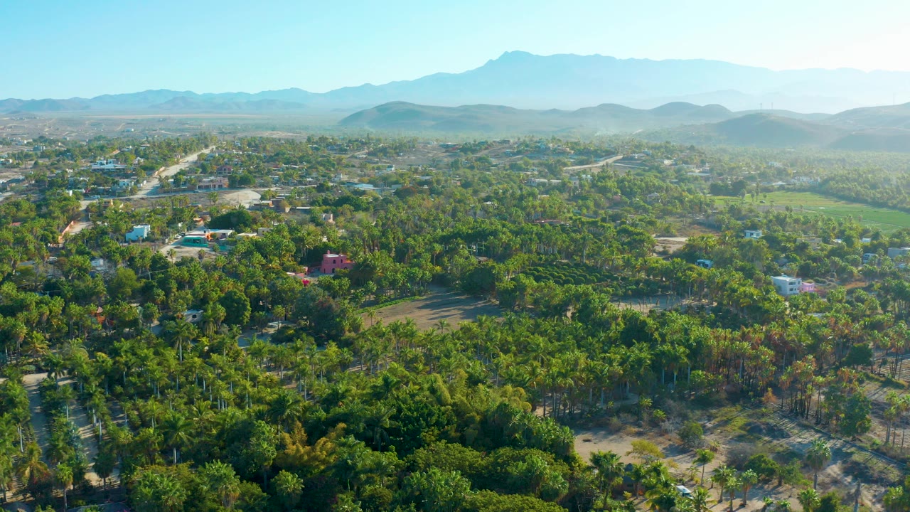 Wide aerial view over Todos Santos, Baja California Sur, with dense green vegetation, scattered homes, pale roads, distant mountains, clear sky, and no visible people.