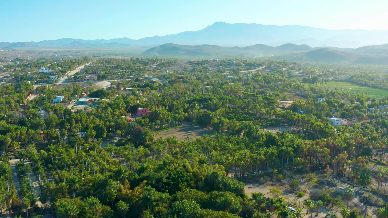 Elevated view across Todos Santos, Baja California Sur, showing clustered trees, small buildings, a road cutting through the midground, open green land, hazy mountains, and no visible people.