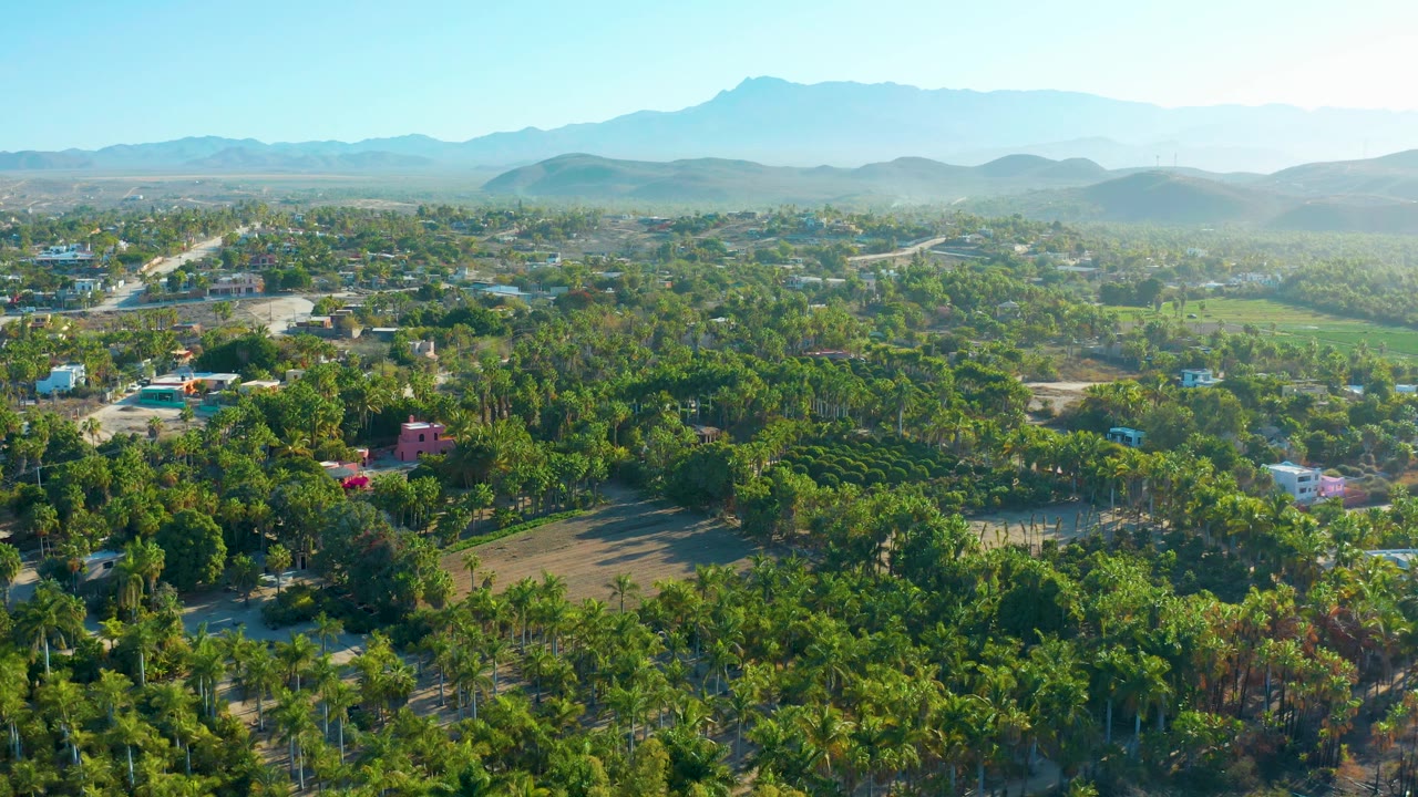 Drone view of tree-lined streets and scattered houses