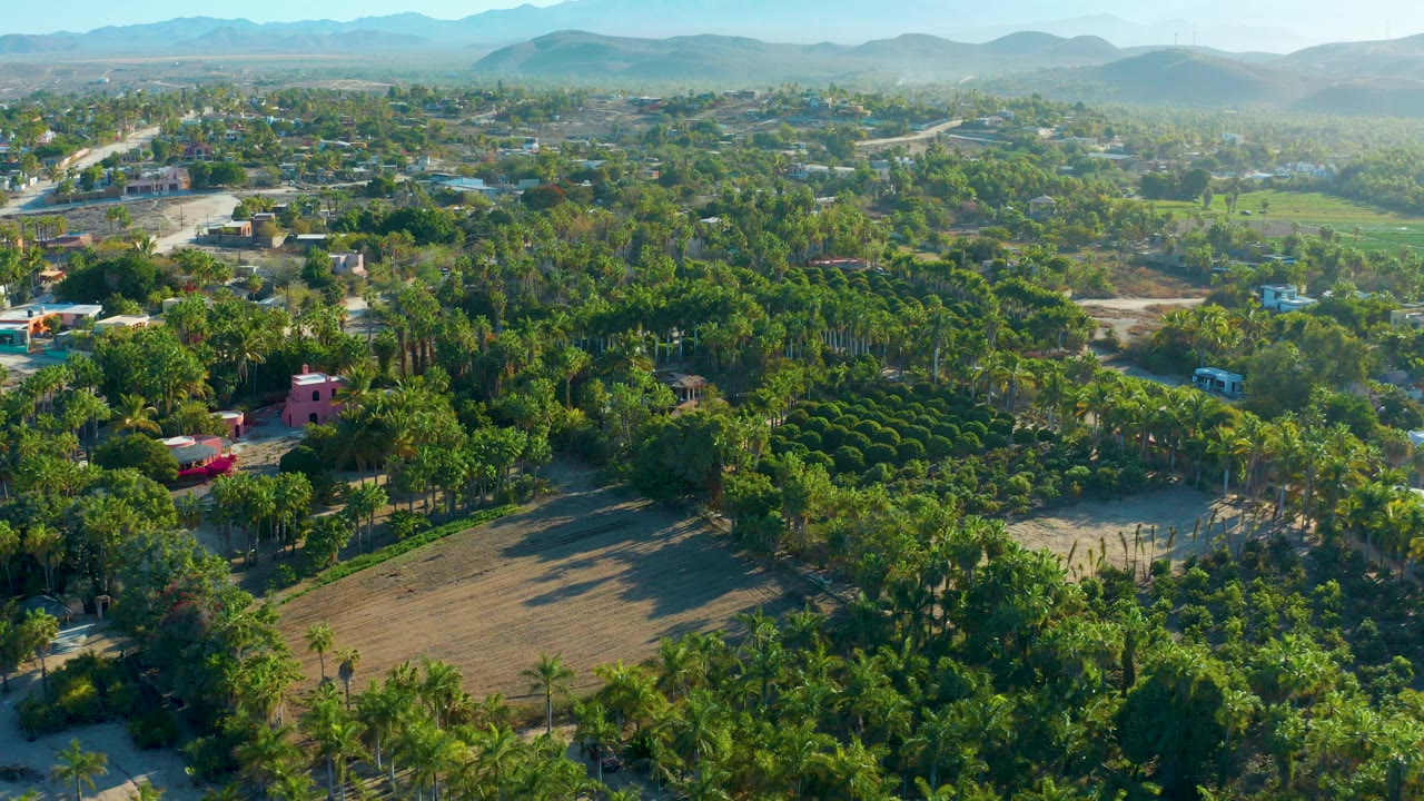 Early aerial frame over Todos Santos, Baja California Sur, showing green fields, palms, scattered low buildings, dry open ground, distant hills, and no visible people.
