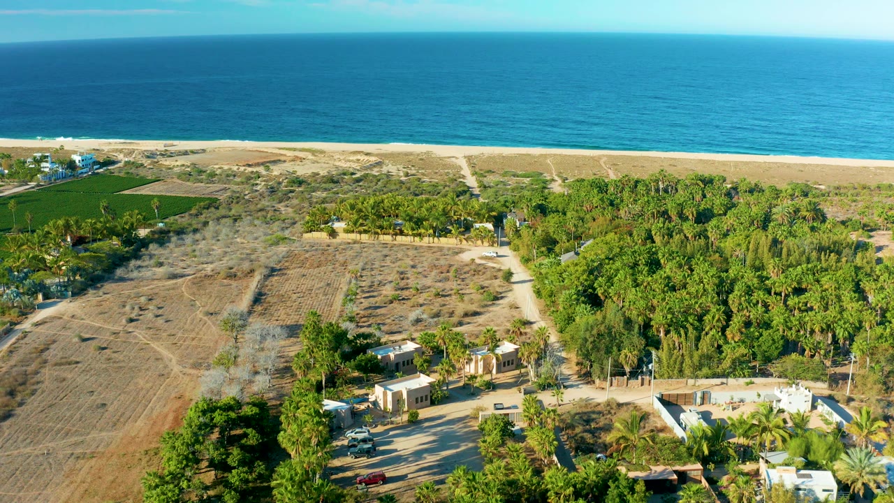 Fields and dense trees below a beach and blue ocean horizon.