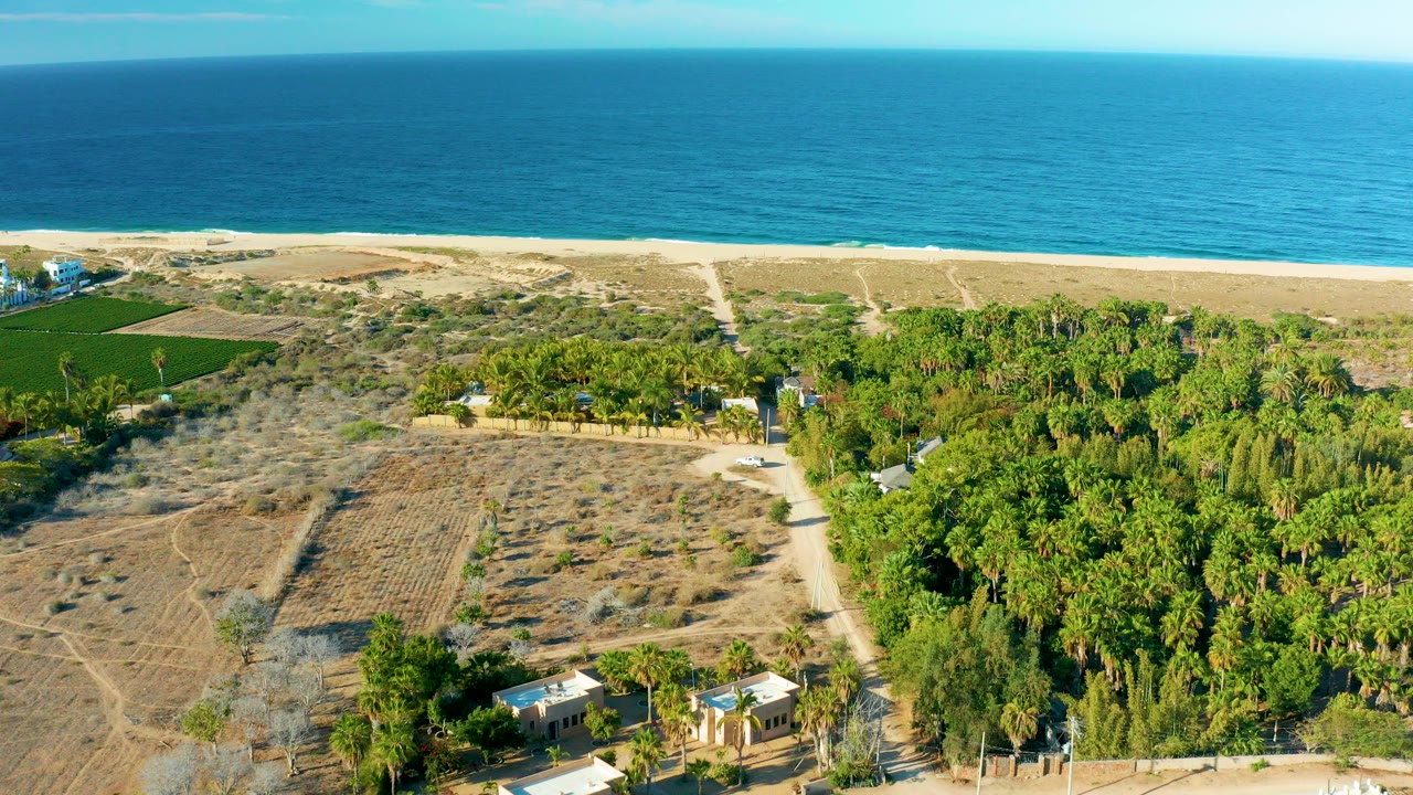Aerial frame over Todos Santos, Baja California Sur showing blue ocean beyond a sandy beach, dry fields, intersecting dirt roads, and a dense green grove with no visible people.