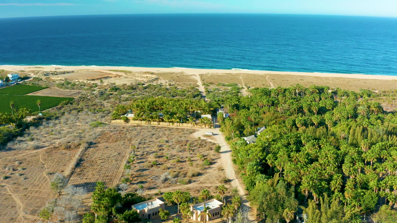 Elevated Todos Santos frame with a wide band of blue ocean, sandy shoreline, dry fields crossed by tracks, a green grove at right, small buildings at the bottom edge, and no visible people.